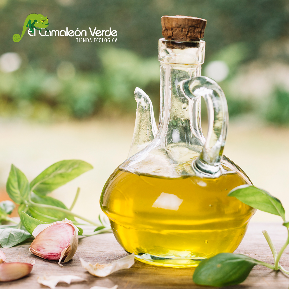 ¿Cuál es el mejor aceite de oliva? El Camaleón Verde