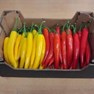 picante bio rojo 250gr