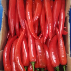 picante bio rojo
